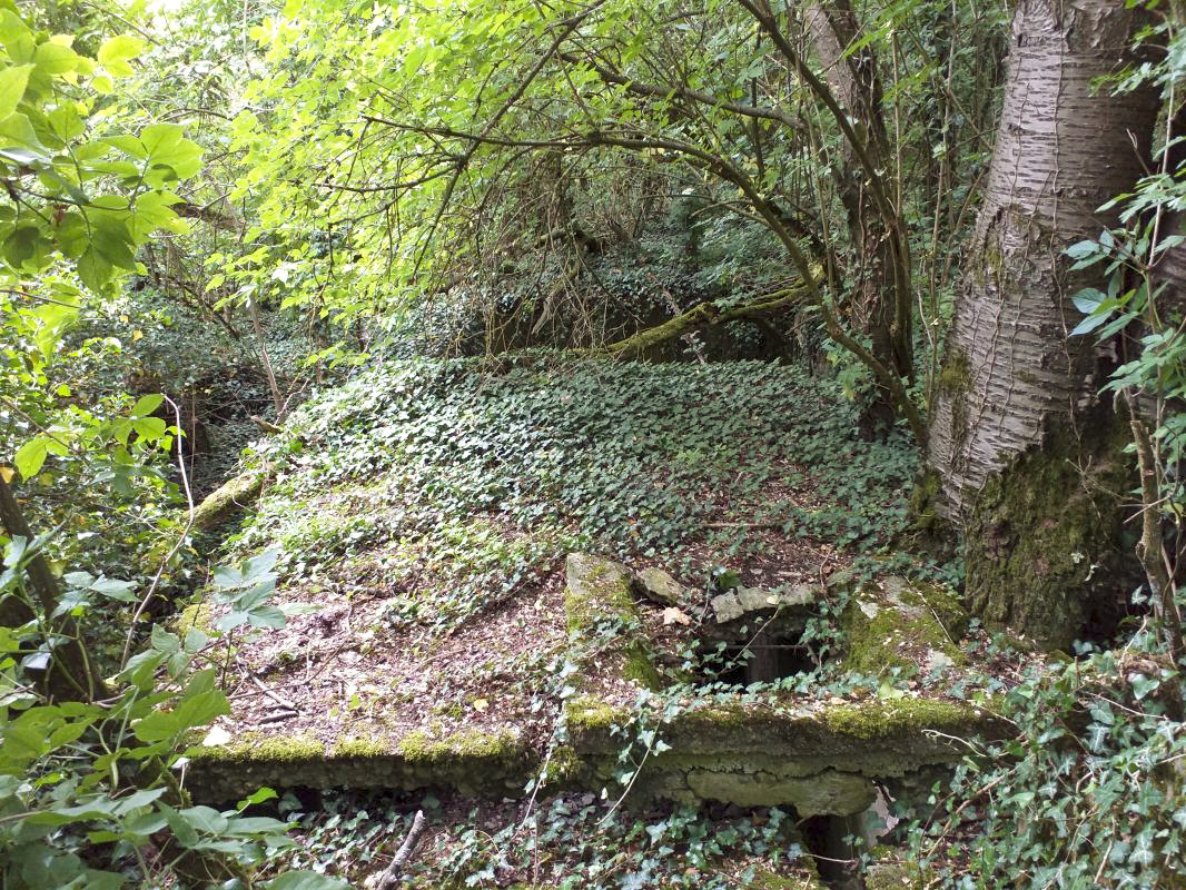 Ligne Maginot - BOIS DE HOFFEN - (Casernement) - Fondation vue du dessus