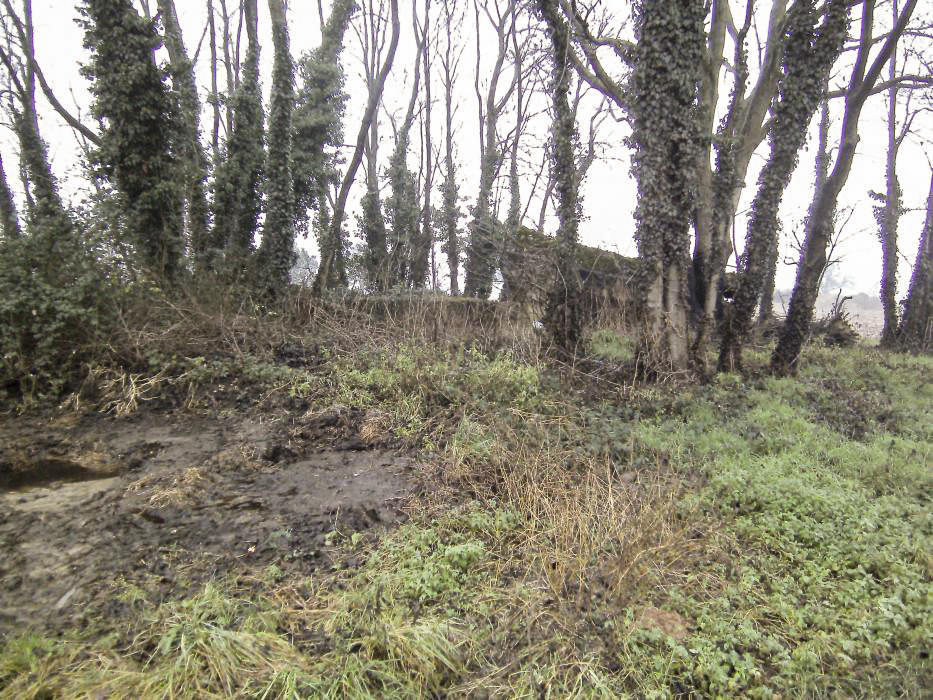 Ligne Maginot - EBENUNG ( Blockhaus pour arme infanterie ) - Vue sur les ruines