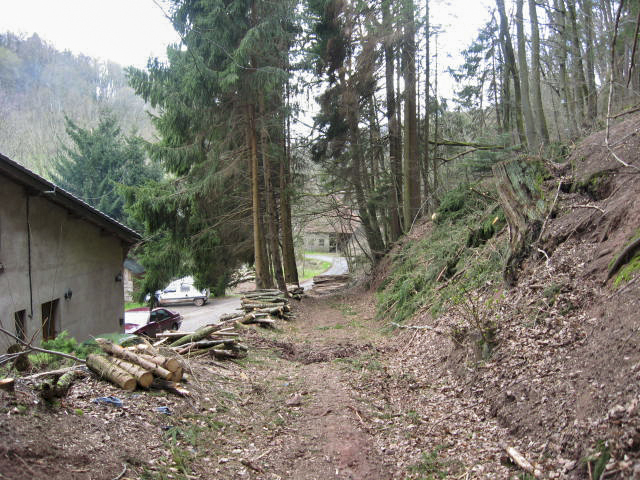 Ligne Maginot - MOULIN DE MONTBRONN (SF ROHRBACH) - (PC de Secteur) - Chemin d'accès aux batiments annexes