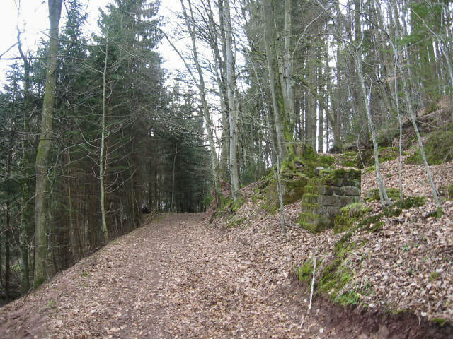 Ligne Maginot - MOULIN DE MONTBRONN (SF ROHRBACH) - (PC de Secteur) - Les restes des batiments