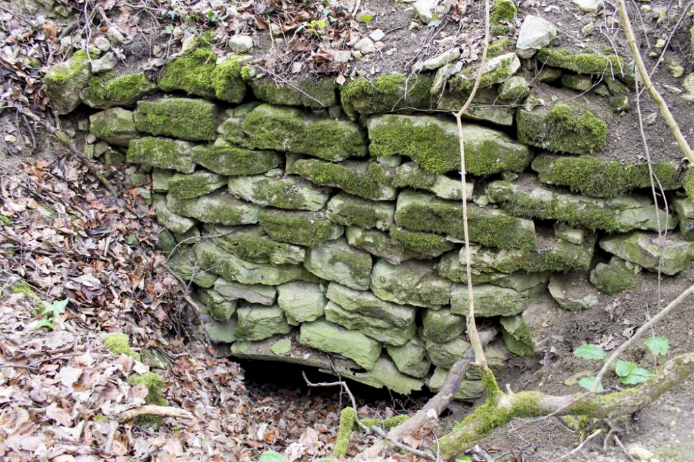 Ligne Maginot - WEIDESHEIMER BERG (QUARTIER SCHLOSSWALD - I/133 RIF) - (PC de Quartier) - L'entrée de l'abri