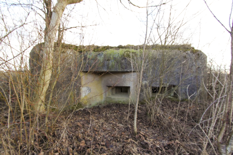 Ligne Maginot - HECKENMUEHLE OUEST - (Blockhaus pour arme infanterie) - Façade flanquant le bief du Hausauerbach