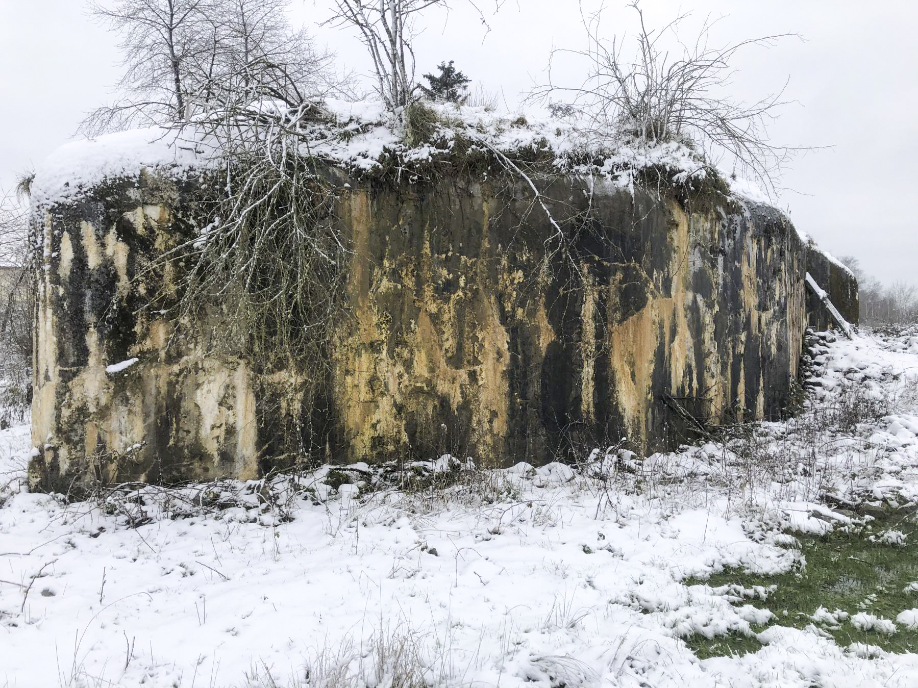 Ligne Maginot - B574 - BOIS DU FRENE - (Blockhaus pour canon) - 