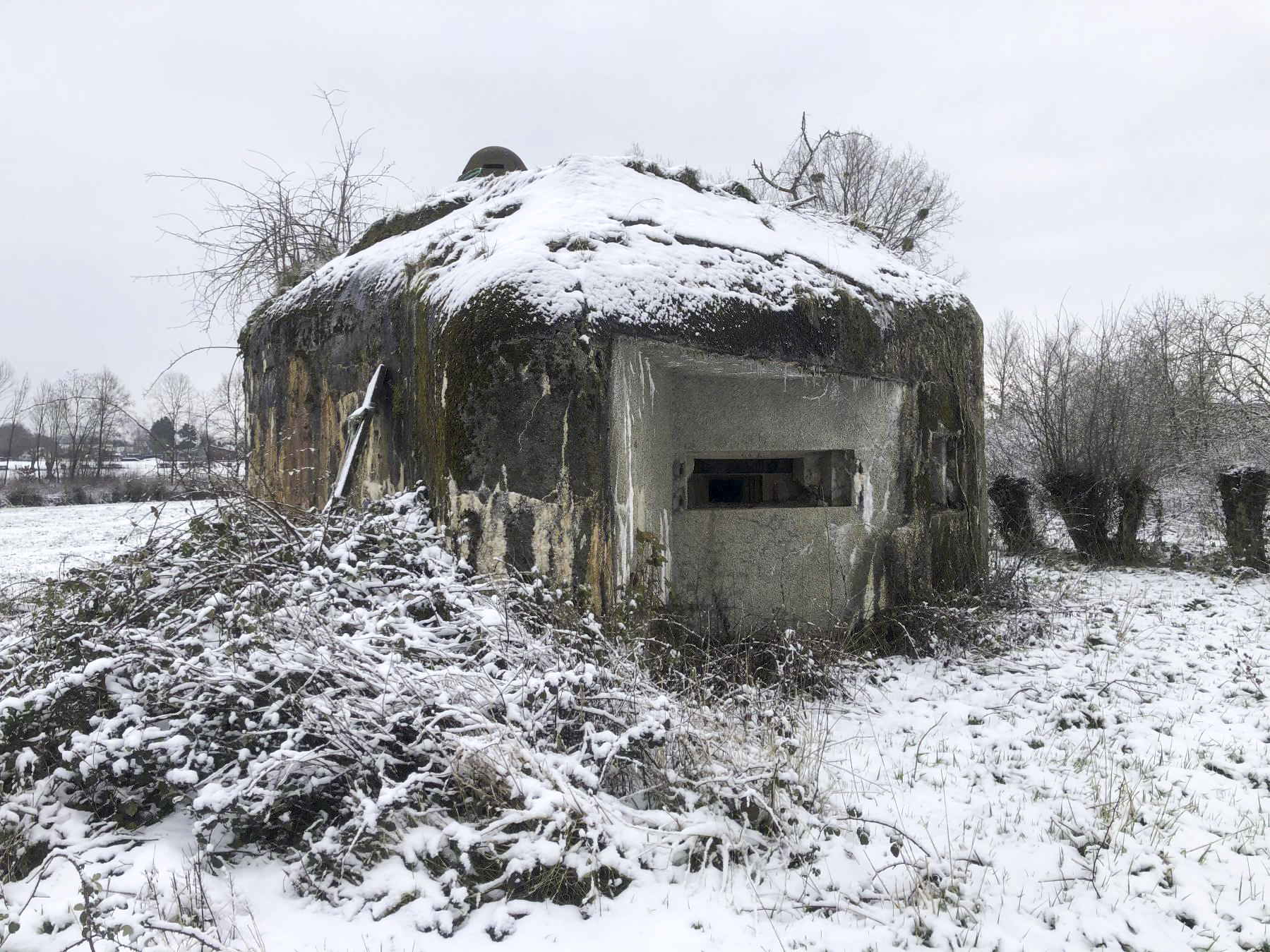 Ligne Maginot - B574 - BOIS DU FRENE - (Blockhaus pour canon) - 