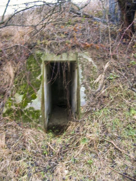 Ligne Maginot - KUHLENDORF (79° RIF - 156°RA) - (PC de Sous-Secteur) - La première entrée