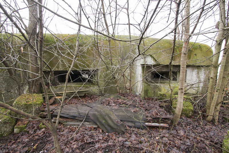 Ligne Maginot - OBERSEEBACH EST - (Blockhaus pour canon) - 