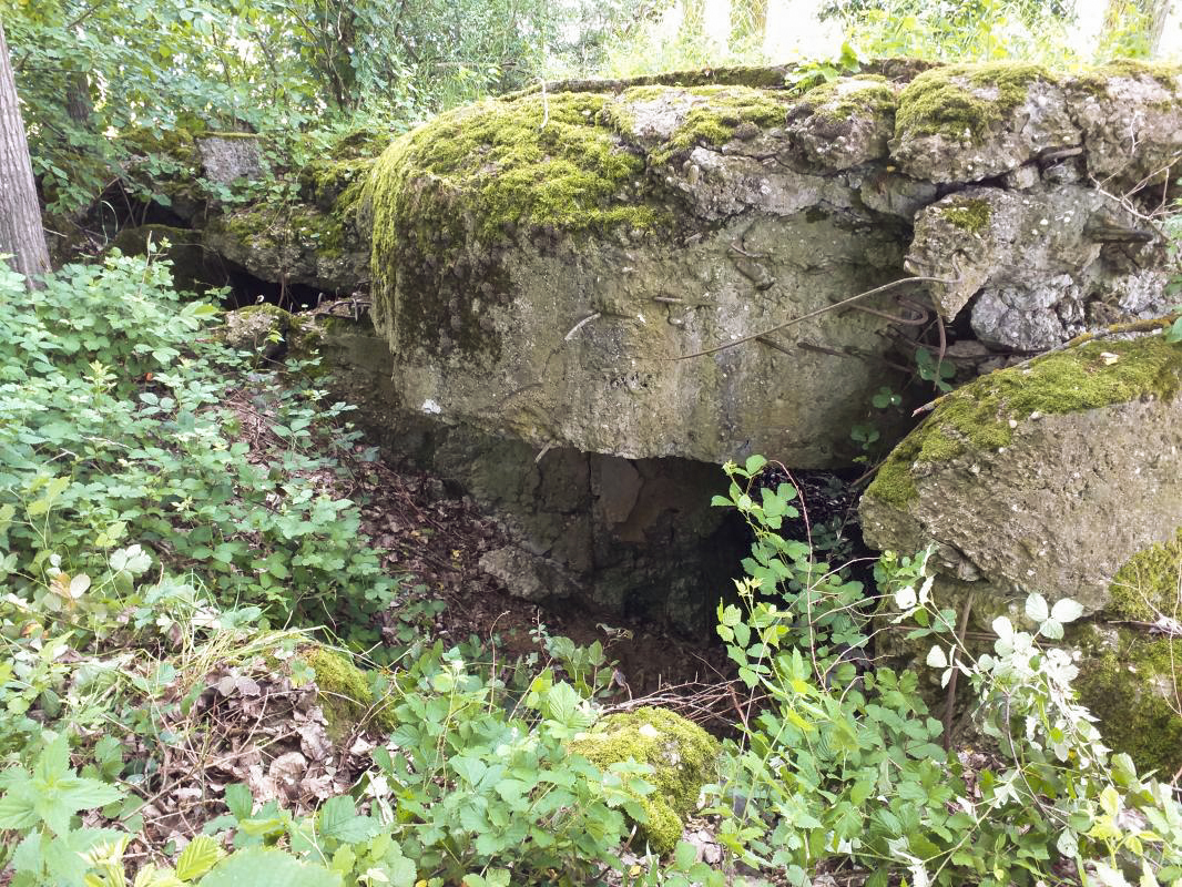 Ligne Maginot - OBERSEEBACH NORD - (Blockhaus pour canon) - Entrée hommes