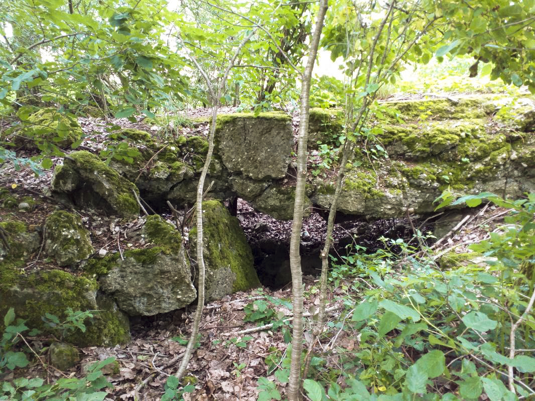 Ligne Maginot - OBERSEEBACH NORD - (Blockhaus pour canon) - Entrée canon