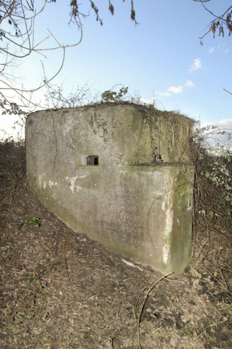 Ligne Maginot - RETENUE DU HAUSAUERBACH - (Blockhaus pour arme infanterie) - Vue générale extérieure