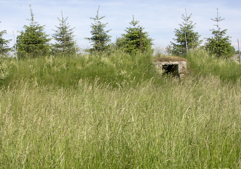 Ligne Maginot - RITTERSHOFFEN (2°BON - 79° RIF) - (PC de Quartier) - Entrée du PC, vue d'ensemble