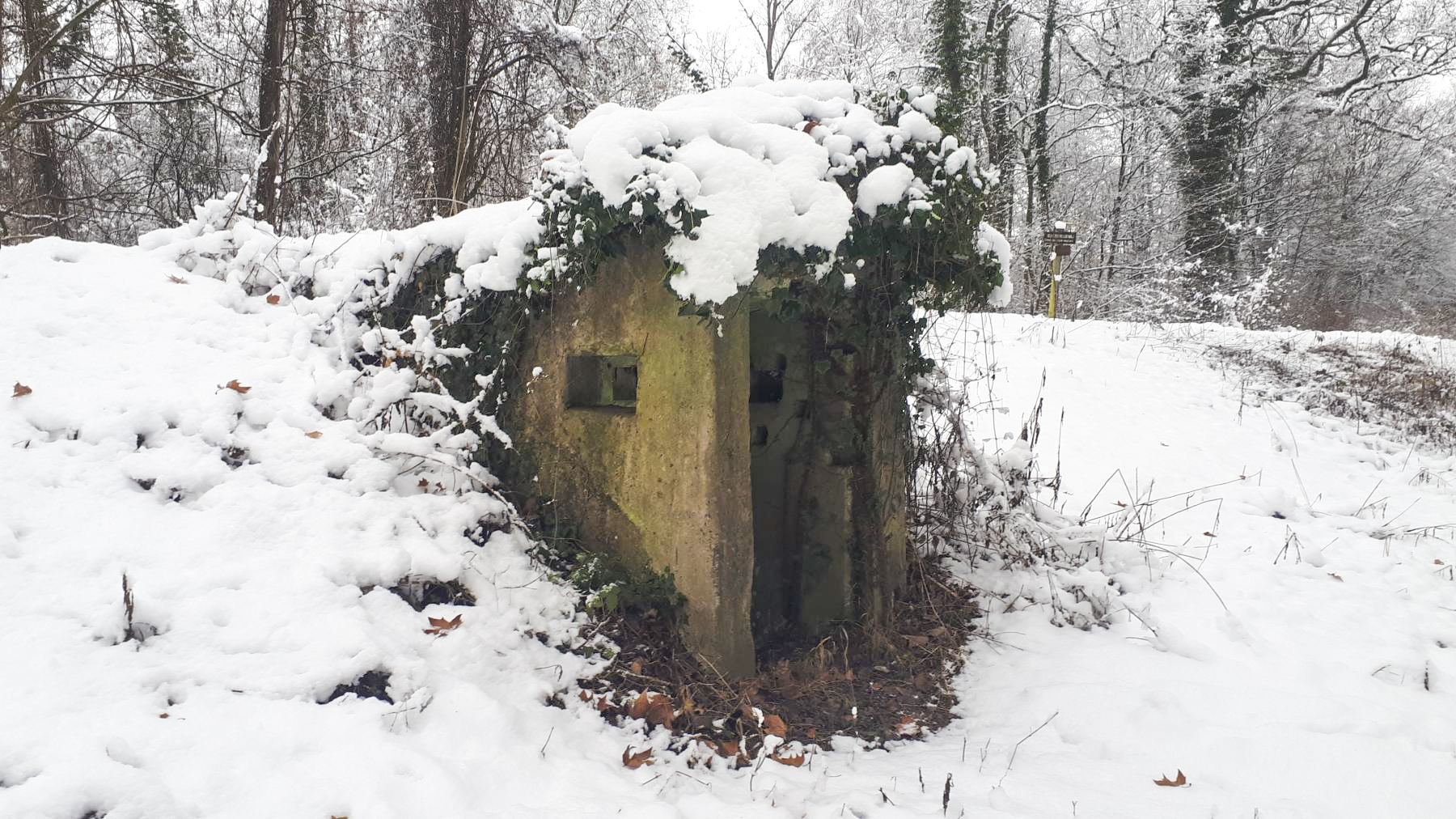 Ligne Maginot - HAUTE DIGUE 10 - (Blockhaus pour arme infanterie) - L'entrée, de l'autre coté de la digue