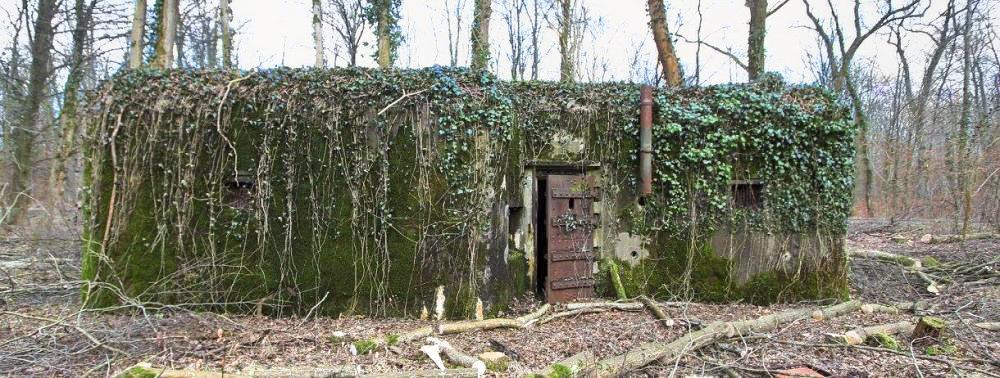 Ligne Maginot - BOIS DE RITTERSHOFFEN 2 - (Casemate d'infanterie - Simple) - 