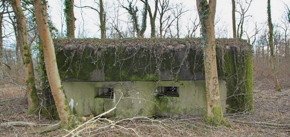 Ligne Maginot - BOIS DE RITTERSHOFFEN 2 - (Casemate d'infanterie - Simple) - 