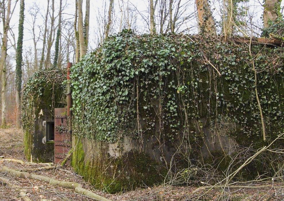 Ligne Maginot - BOIS DE RITTERSHOFFEN 2 - (Casemate d'infanterie - Simple) - 