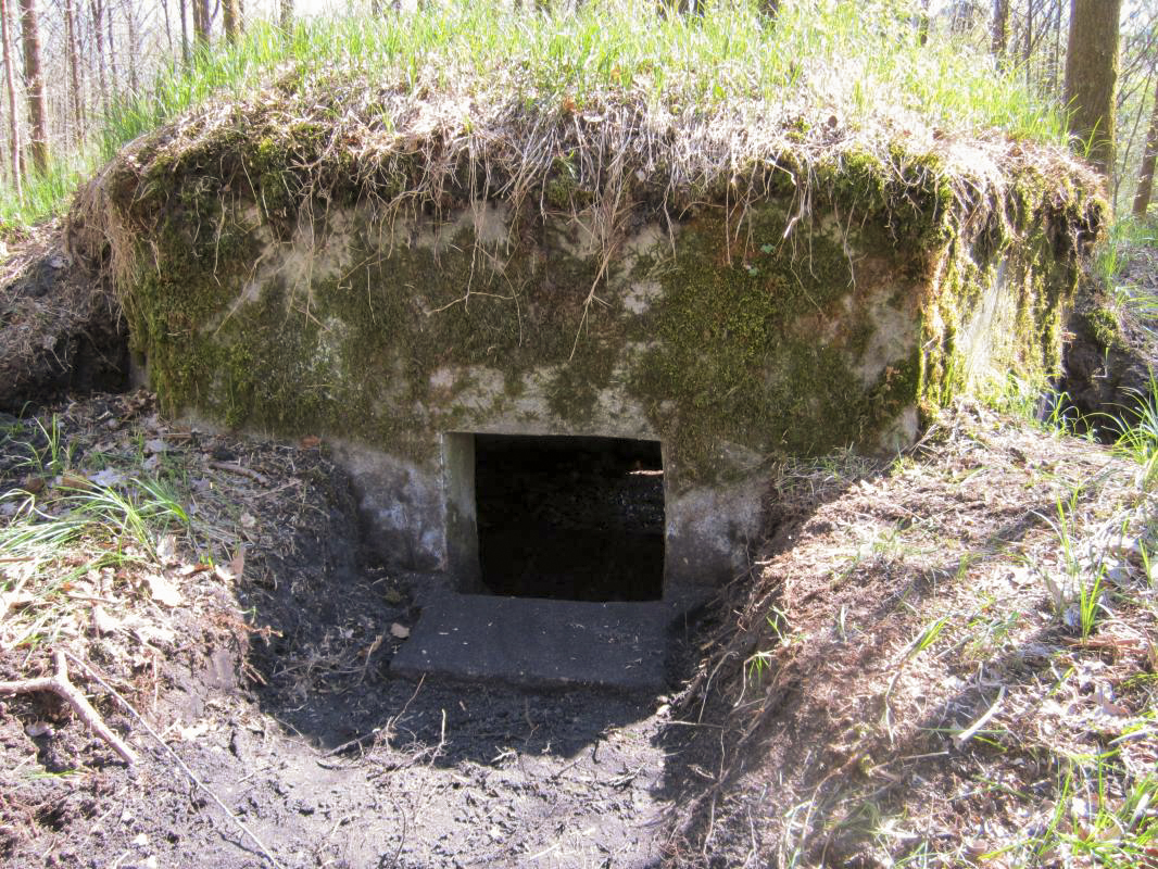 Ligne Maginot - BOIS DE RITTERSHOFFEN b - (Blockhaus pour arme infanterie) - Créneau principal