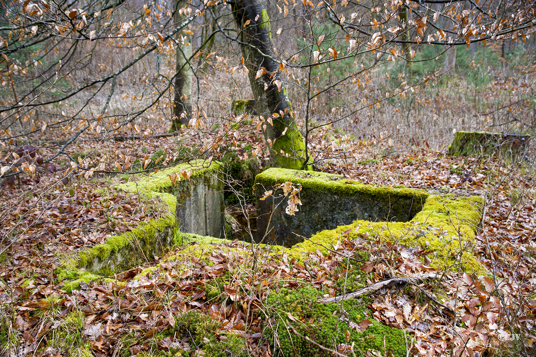 Ligne Maginot - CARREFOUR SUCHAUX 2 (Cuve pour arme d'infanterie) - 