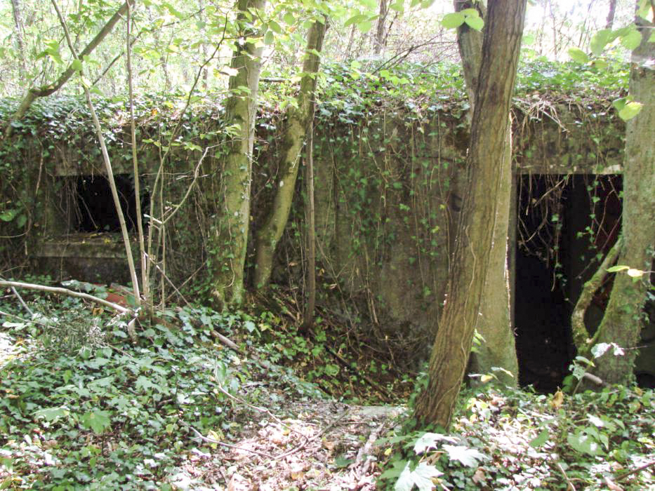 Ligne Maginot - ELZANGE - (Camp de sureté) - Les ruines du camp
Soubassement d'un baraquement