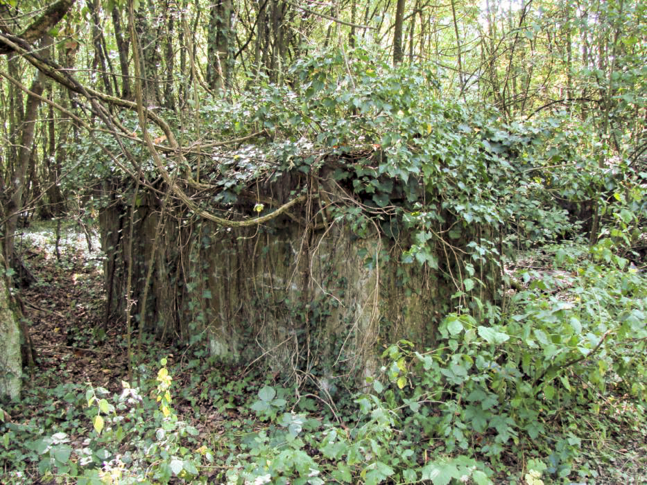 Ligne Maginot - ELZANGE - (Camp de sureté) - Les ruines du camp