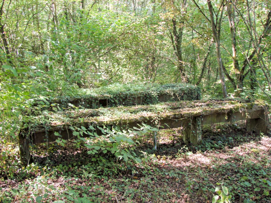Ligne Maginot - ELZANGE - (Camp de sureté) - Les ruines du camp