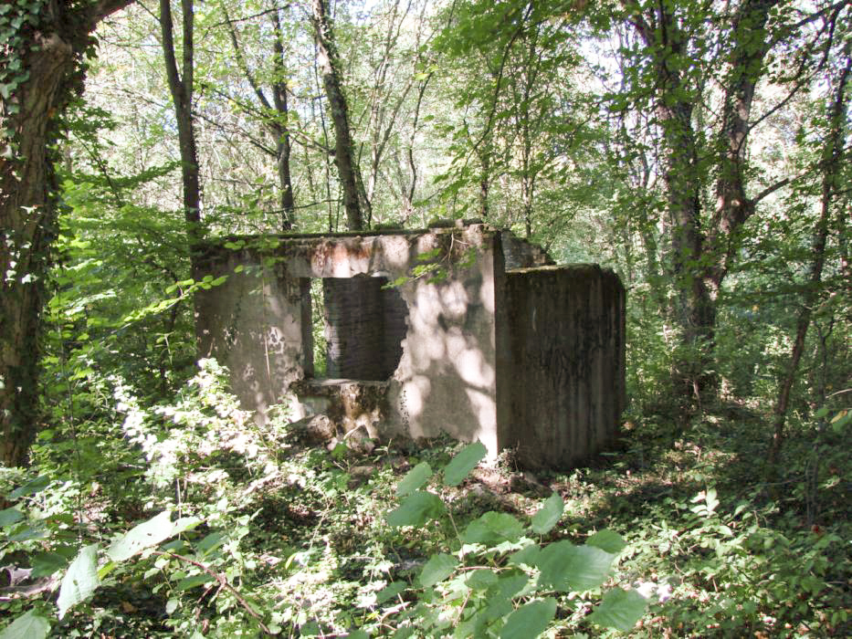 Ligne Maginot - ELZANGE - (Camp de sureté) - Les ruines du camp
Local pompes (?) qui se trouve à coté du baraquement des sanitaires.