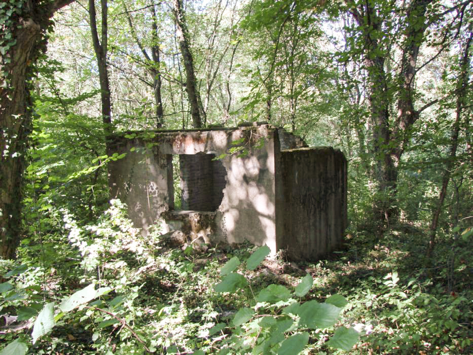 Ligne Maginot - ELZANGE - (Camp de sureté) - Les ruines du camp
Local pompes (?) qui se trouve à coté du baraquement des sanitaires.