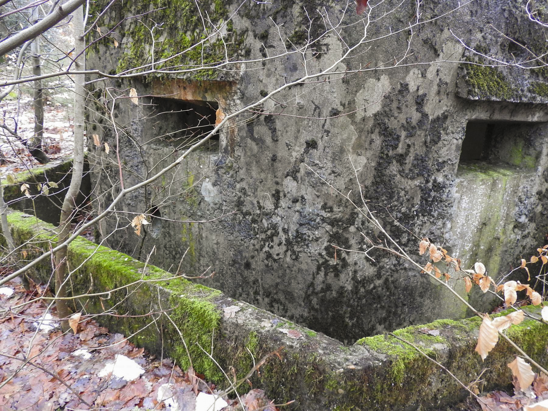 Ligne Maginot - COL DU WIEP  3 - (Blockhaus pour arme infanterie) - Deux des créneaux et le fossé autour de la façade de tir