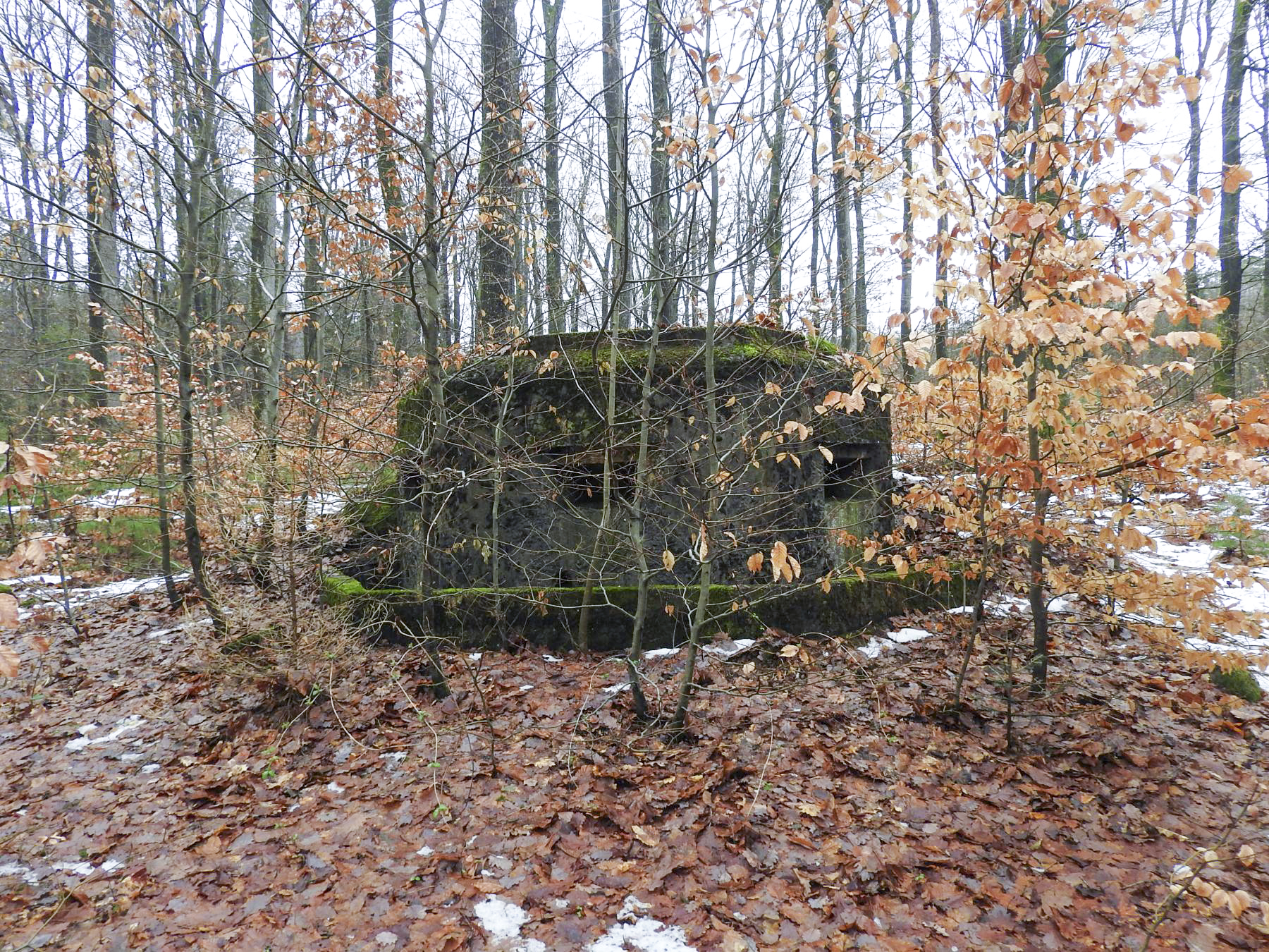 Ligne Maginot - COL DU WIEP  3 - (Blockhaus pour arme infanterie) - 