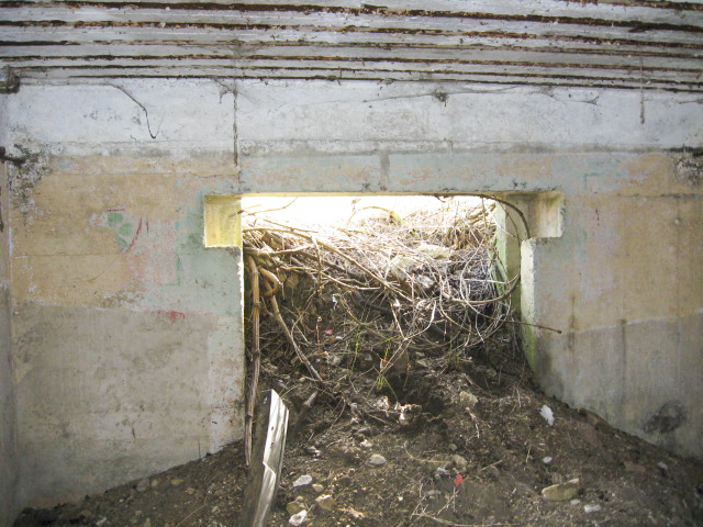 Ligne Maginot - FIRST 6 (Blockhaus pour canon) - L'entrée du canon