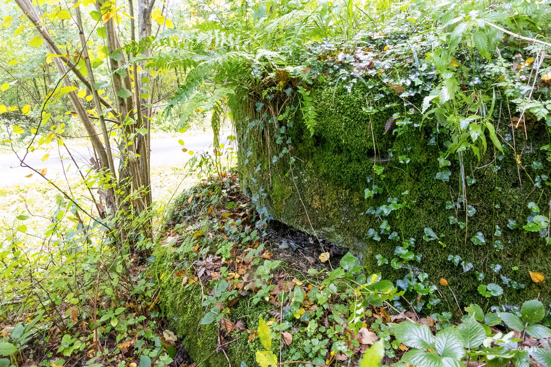 Ligne Maginot - ESCHENGRABEN 1 - (Blockhaus pour arme infanterie) - 