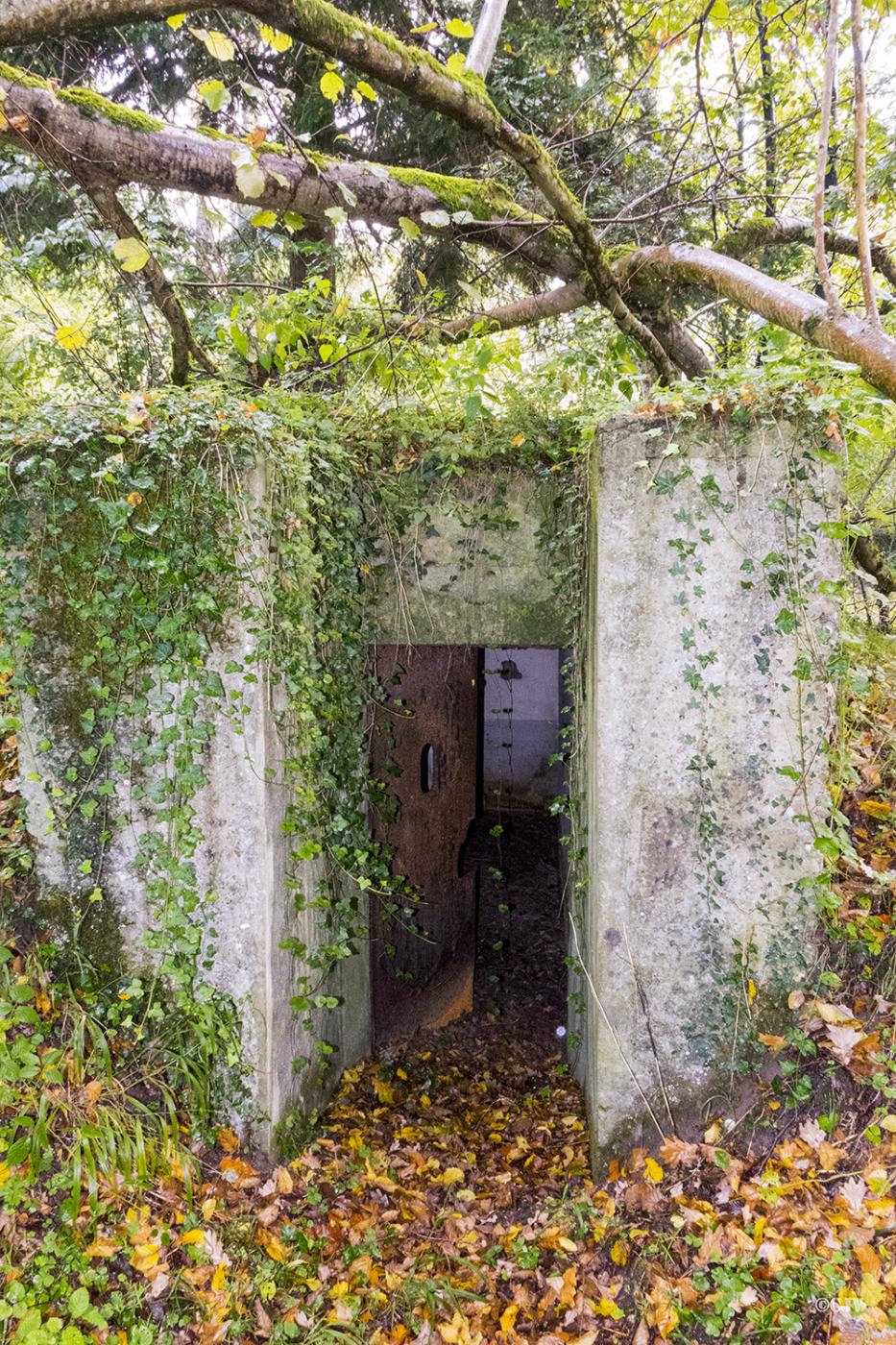 Ligne Maginot - ESCHENGRABEN 1 - (Blockhaus pour arme infanterie) - 