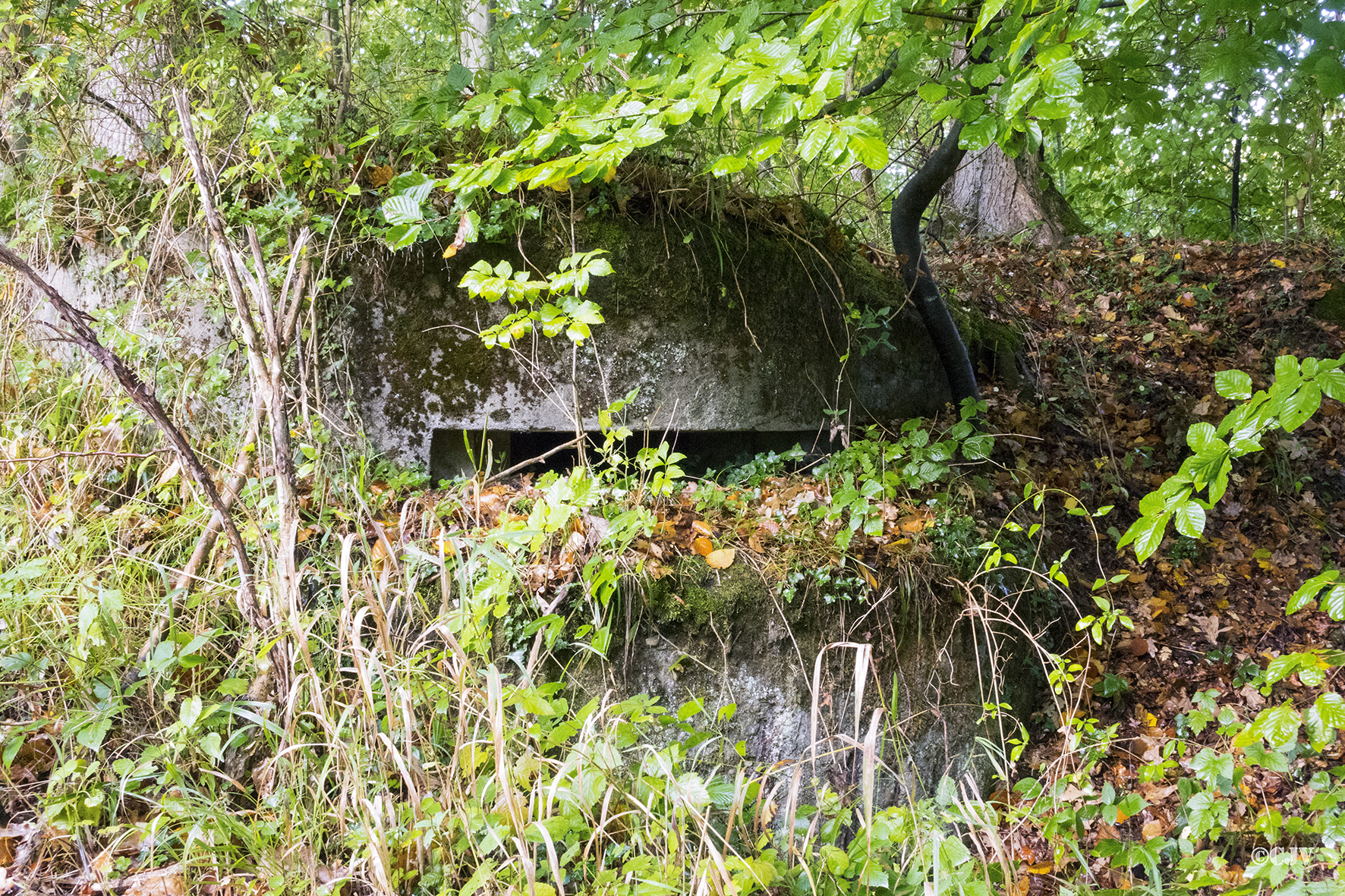 Ligne Maginot - ESCHENGRABEN 3 - (Blockhaus pour arme infanterie) - 