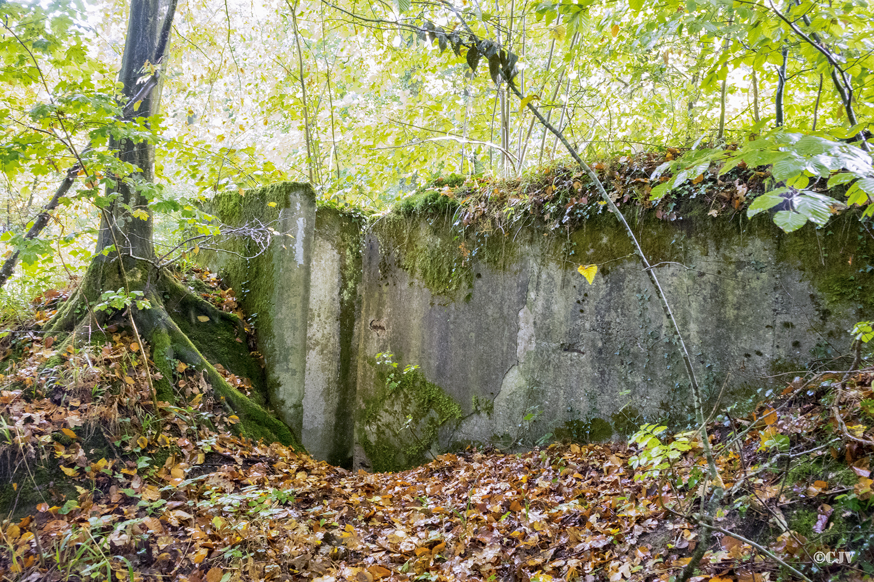 Ligne Maginot - ESCHENGRABEN 3 - (Blockhaus pour arme infanterie) - 