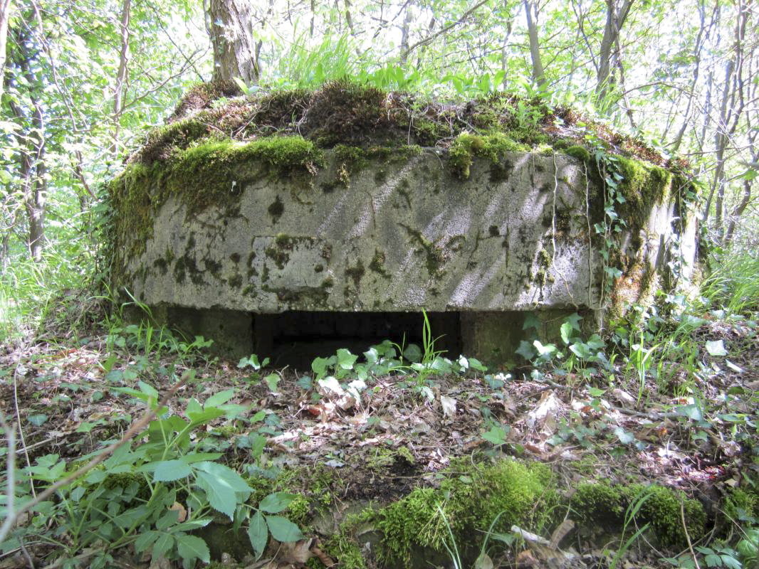 Ligne Maginot - KLOSTERGRABEN 2 - (Blockhaus pour arme infanterie) - 