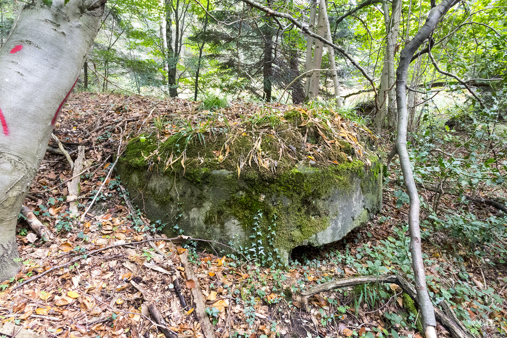 Ligne Maginot - KLOSTERGRABEN 5 - (Blockhaus pour arme infanterie) - 