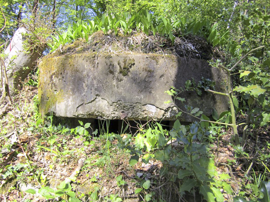 Ligne Maginot - KLOSTERGRABEN 5 - (Blockhaus pour arme infanterie) - La coupole et ...cueillette de muguet !