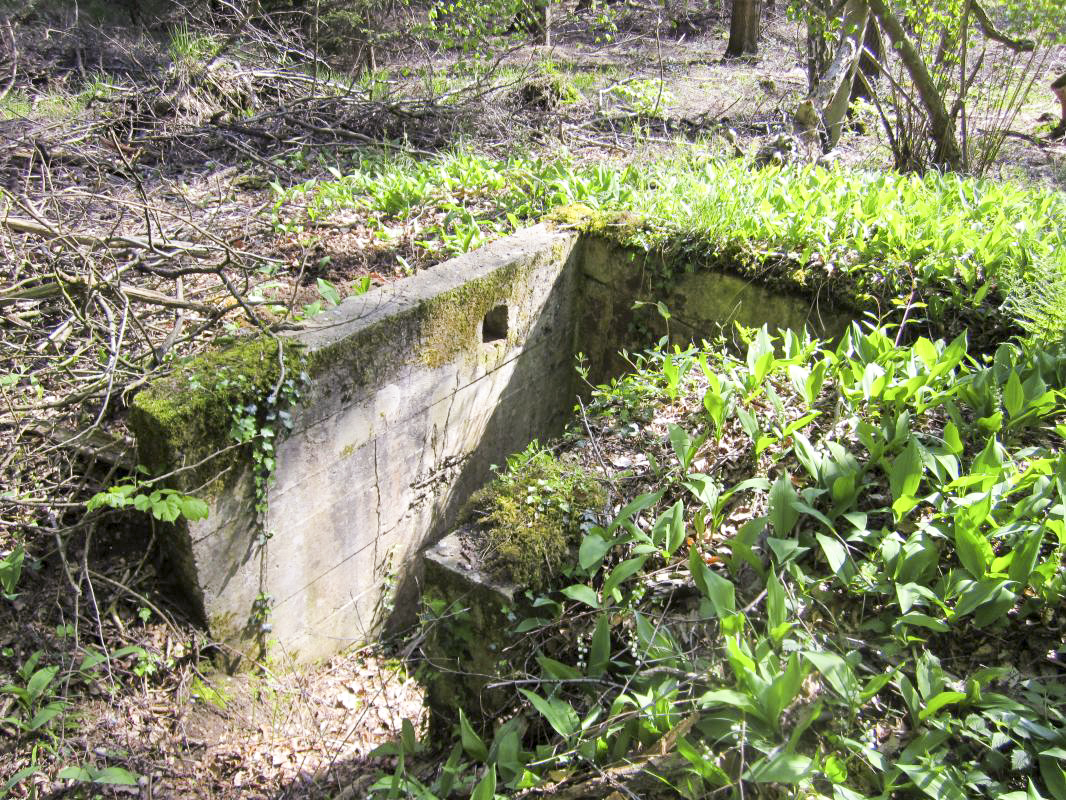 Ligne Maginot - KLOSTERGRABEN 5 - (Blockhaus pour arme infanterie) - L'accès bétonné et le créneau