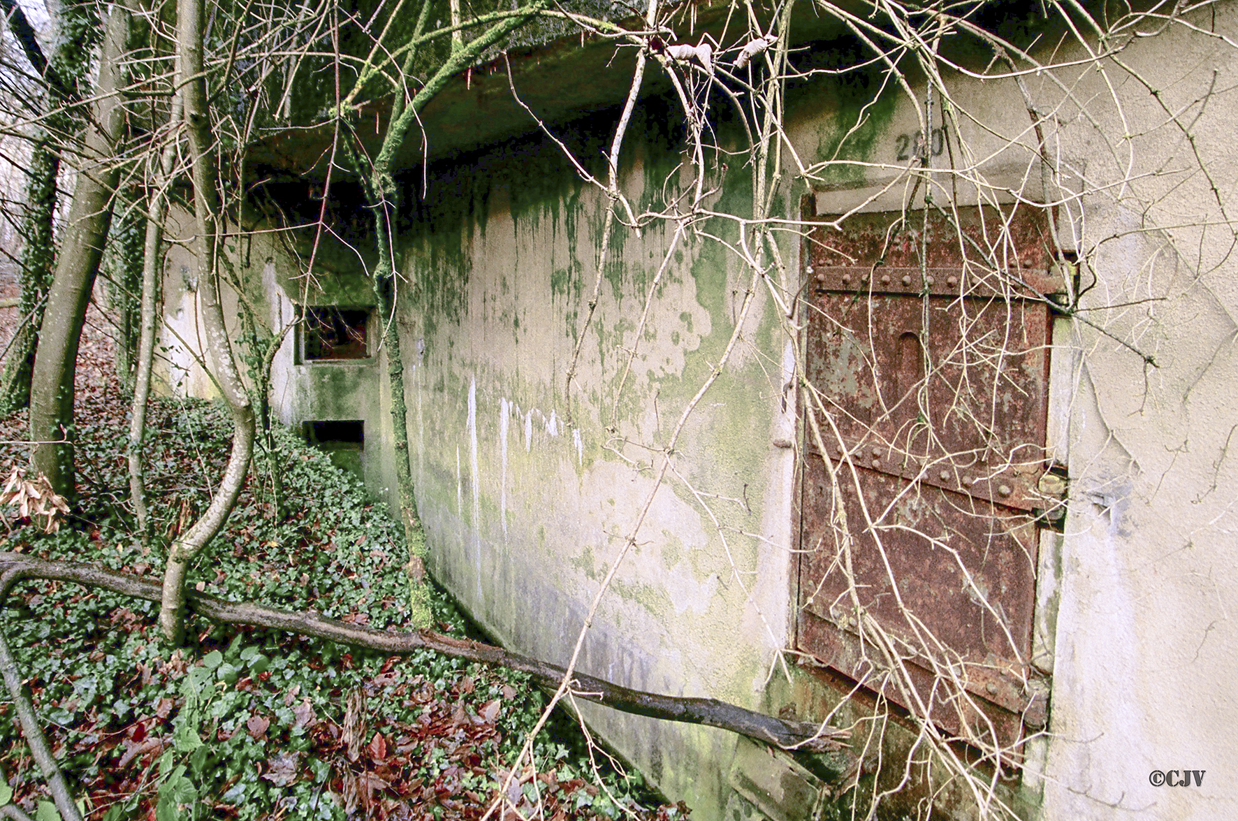 Ligne Maginot - KOENIGSBRUCK - (Abri) - 