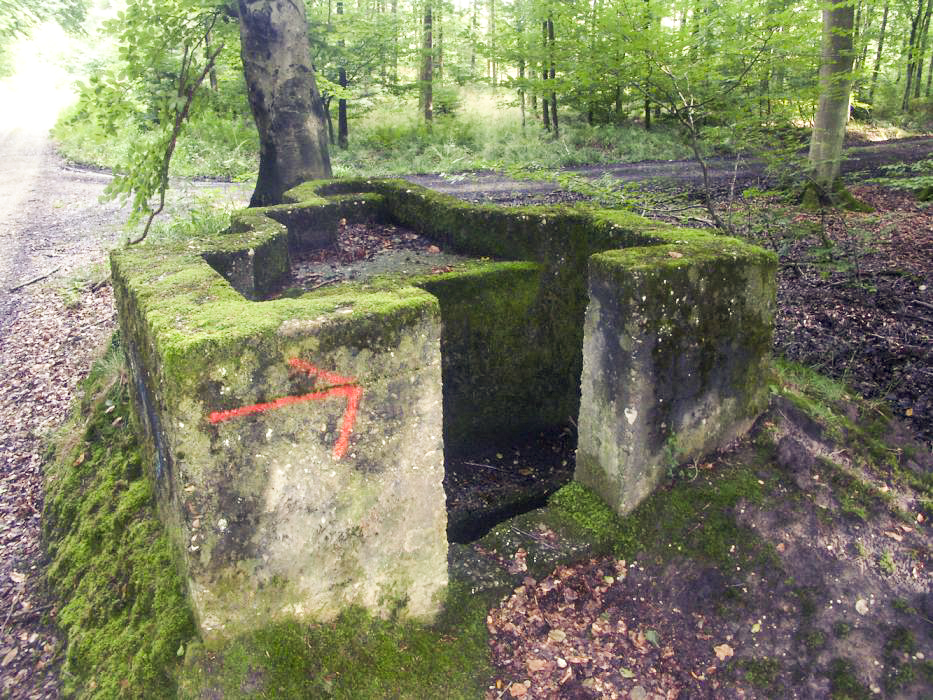 Ligne Maginot - KOENIGSBRUCK 1 (Cuve pour arme d'infanterie) - Vue rapprochée