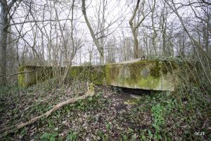 Ligne Maginot - NIEDERBETSCHDORF 3 (Blockhaus pour arme infanterie) - 