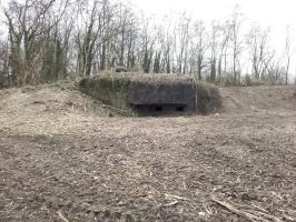 Ligne Maginot - ROUNTZENHEIM NORD - (Casemate d'infanterie) - 