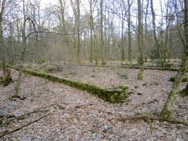 Ligne Maginot - SANDMUEHLE - (Casernement) - 