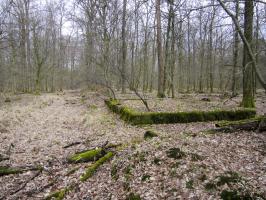 Ligne Maginot - SANDMUEHLE - (Casernement) - 