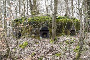 Ligne Maginot - SANDMUEHLE SUD - (Blockhaus pour arme infanterie) - Vue de face avant