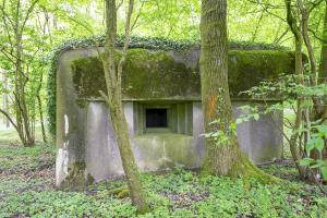 Ligne Maginot - SELTZBACH 1 - (Blockhaus pour arme infanterie) - 