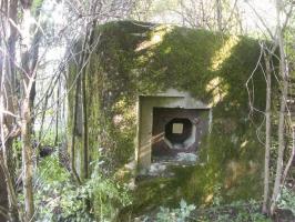 Ligne Maginot - FINNHAAG 2 (Blockhaus pour arme infanterie) - Créneau FM de défense de l'entrée
On entrevoit le second créneau FM sur le coté gauche de la photo