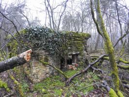 Ligne Maginot - FORLENWALD 1 - (Blockhaus pour canon) - Le créneau anti-char