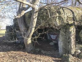 Ligne Maginot - 30/3 - ESPEREINWALD SUD - (Casemate d'infanterie - Double) - 