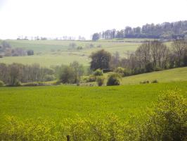 Ligne Maginot - N - LE RETAY - (Blockhaus pour canon) - Vue du  créneau FM vers Bb 175