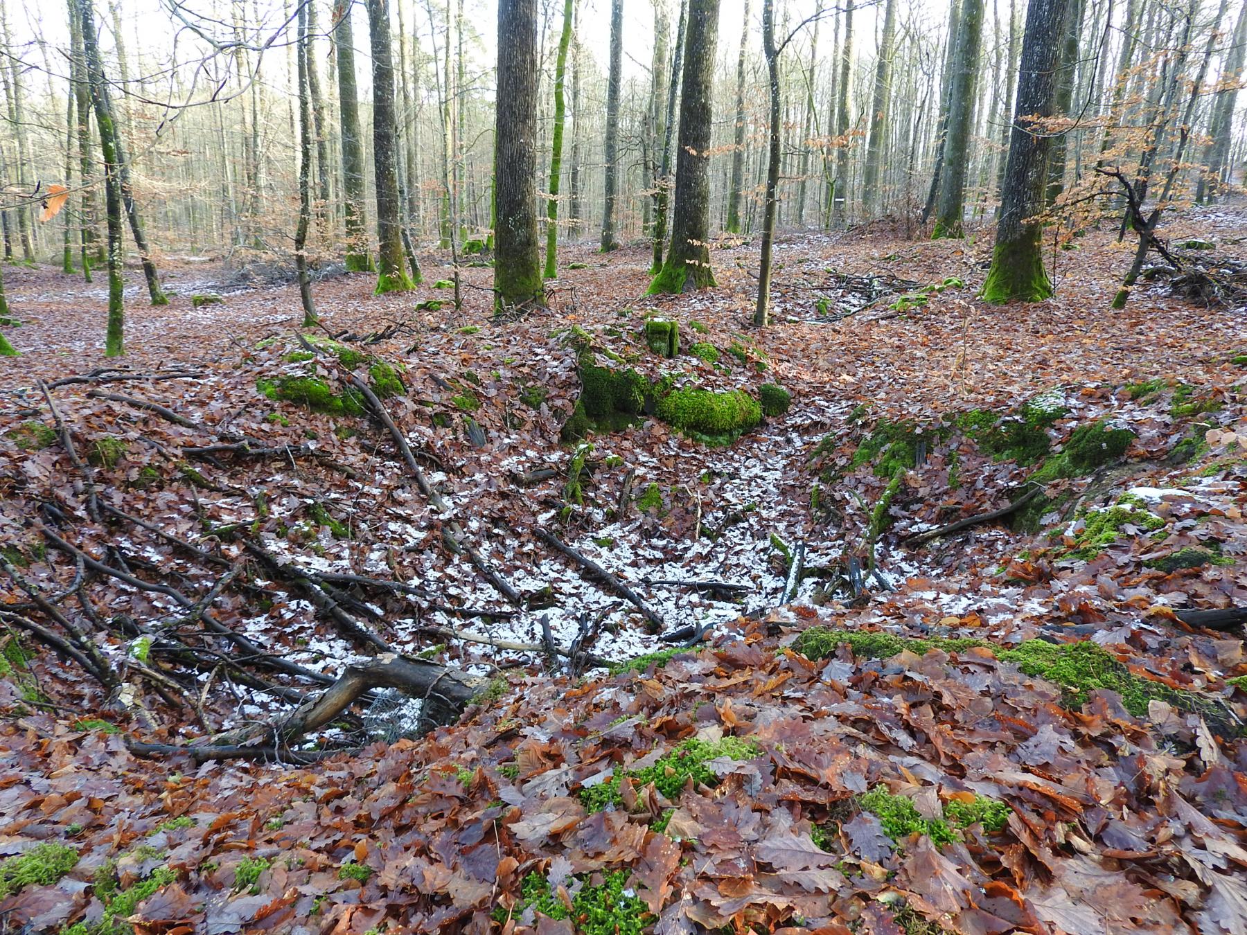 Ligne Maginot - PFAFFENBERG ( PC DU II - 60° RMAF) - (PC de Quartier) - L'emplacement d'une cagna