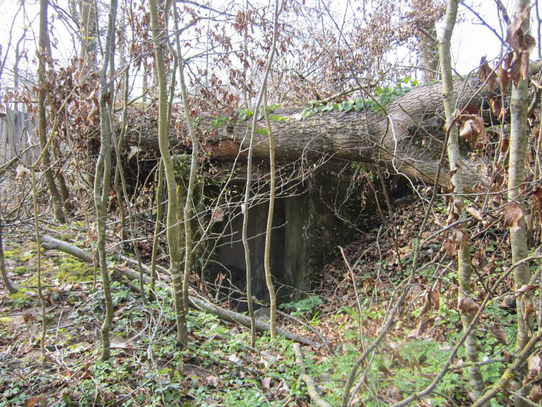 Ligne Maginot - MAISON FORESTIERE DE RITTERSHOFFEN 1 - (Blockhaus pour arme infanterie) - 